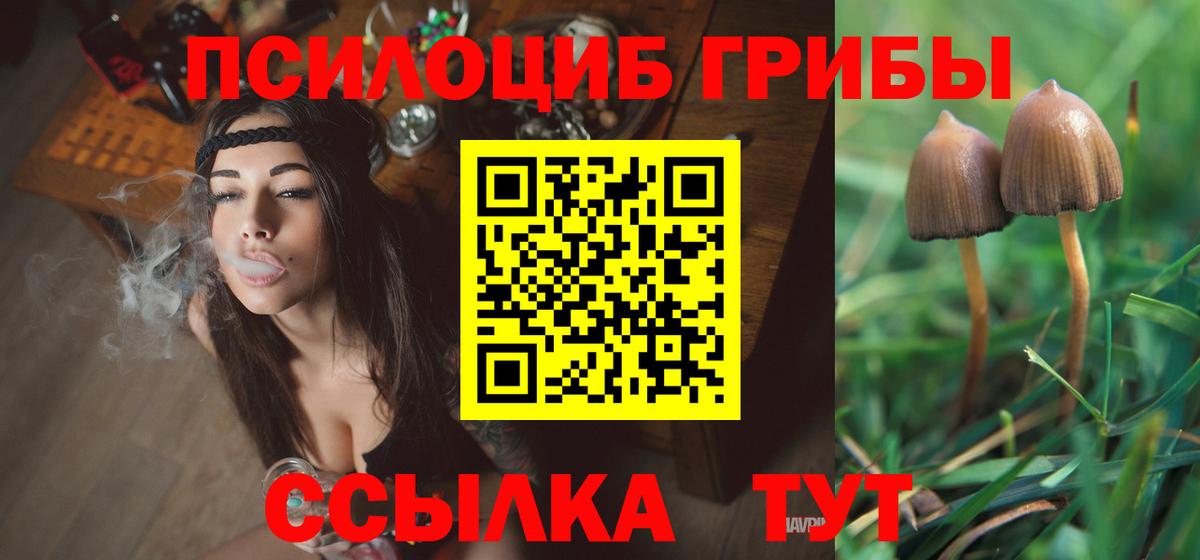 купить   Галлюциногенные грибы Magic Shrooms  Вход с VPN  Псилоцибиновые грибы MAGIC MUSHROOMS  Зерноград 