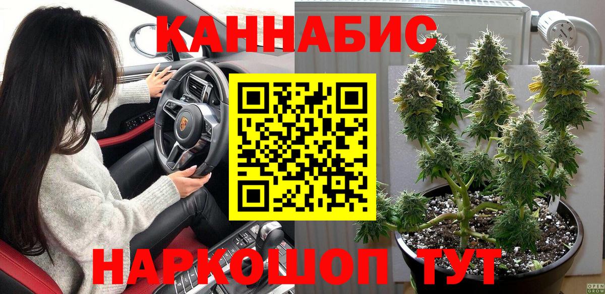 Канабис гибрид Зерноград